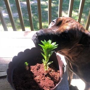 Meet your Posher, Sara